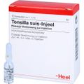 TONSILLA SUIS Injeel Ampullen