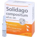 SOLIDAGO COMPOSITUM ad us.vet.Ampullen