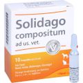 SOLIDAGO COMPOSITUM ad us.vet.Ampullen