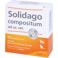 SOLIDAGO COMPOSITUM ad us.vet.Ampullen