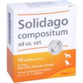 SOLIDAGO COMPOSITUM ad us.vet.Ampullen