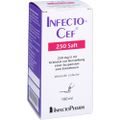 INFECTOCEF 250 Saft Gran.z.Herstell.e.Susp.z.Einn.