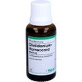 CHELIDONIUM-HOMACCORD Tropfen