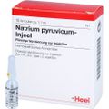 NATRIUM PYRUVICUM Injeel Ampullen