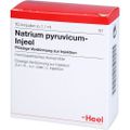 NATRIUM PYRUVICUM Injeel Ampullen