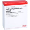 NATRIUM PYRUVICUM Injeel Ampullen