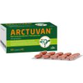 ARCTUVAN Bärentrauben Filmtabletten