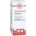CANTHARIS D 6 Dilution