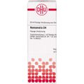 HAMAMELIS D 4 Dilution