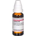 LACHESIS D 10 Dilution