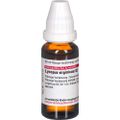 LYCOPUS VIRGINICUS D 2 Dilution