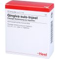 GINGIVA SUIS Injeel Ampullen