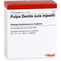 PULPA DENTIS SUIS Injeel Ampullen