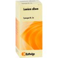 SYNERGON KOMPLEX 3a Lamium album Tropfen