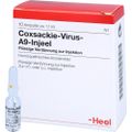 COXSACKIE-Virus A9 Injeel Ampullen