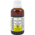 COLOCYNTHIS KOMPLEX Nr.8 Dilution