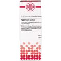 Hypericum Extern Extrakt 20 ml 20 ml