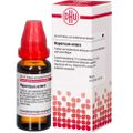 Hypericum Extern Extrakt 20 ml 20 ml