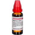 Hypericum Extern Extrakt 20 ml 20 ml