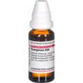 PYROGENIUM D 30 Dilution