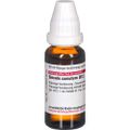 SECALE CORNUTUM D 12 Dilution