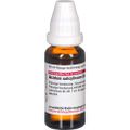 ACIDUM SALICYLICUM D 6 Dilution