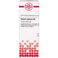 BARIUM JODATUM D 4 Dilution