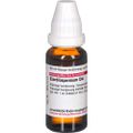 CARDIOSPERMUM D 4 Dilution