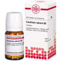 CORALLIUM RUBRUM D 6 Tabletten