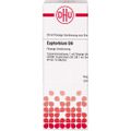 EUPHORBIUM D 6 Dilution