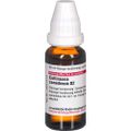 COLLINSONIA CANADENSIS D 2 Dilution