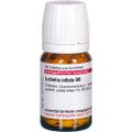 LOBELIA INFLATA D 6 Tabletten