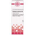 PLUMBUM ACETICUM D 6 Dilution