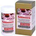 ECHINACEA KAPSELN