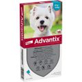 ADVANTIX Spot-on Lsg.z.Auftr.a.d.H.f.Hund 4-10 kg