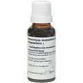 ANACARDIUM D 12 Dilution