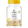 LECITHIN 500 mg Kapseln