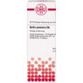 BELLIS PERENNIS D 6 Dilution