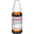 MOMORDICA BALSAMINA D 2 Dilution