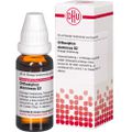 ORTHOSIPHON STAMINEUS D 2 Dilution