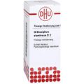 ORTHOSIPHON STAMINEUS D 2 Dilution