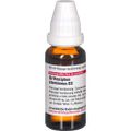 ORTHOSIPHON STAMINEUS D 2 Dilution