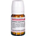 CALADIUM seguinum D 6 Tabletten