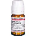 CAULOPHYLLUM THALICTROIDES D 6 Tabletten