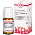 EQUISETUM ARVENSE D 6 Tabletten