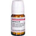 HELLEBORUS D 6 Tabletten