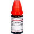 APIS MELLIFICA LM XVIII Dilution