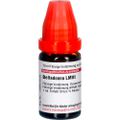 BELLADONNA LM VI Dilution