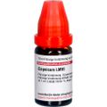 CAPSICUM LM VI Dilution