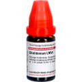 CHELIDONIUM LM VI Dilution